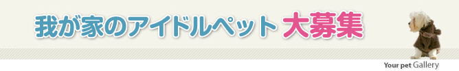 我が家のアイドルペット大募集